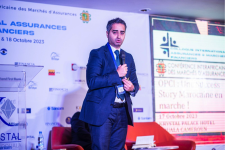 2.	Conférence interafricaine des marchés d’assurance